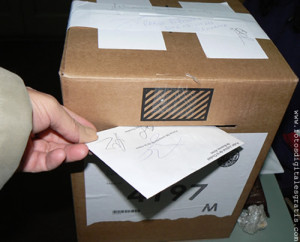 urnas para votar 1