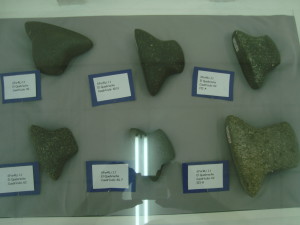 DSC06443