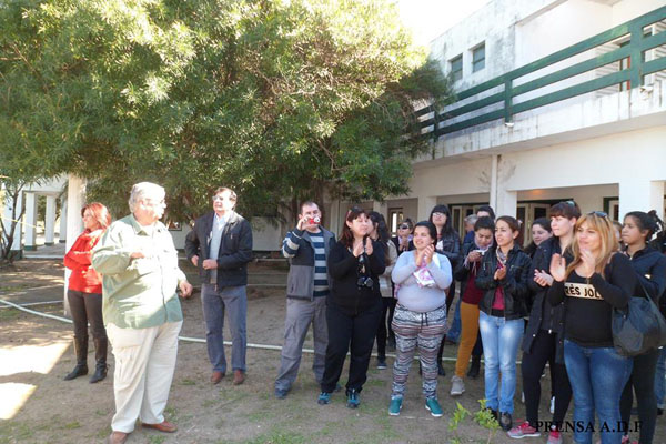 docentes 3