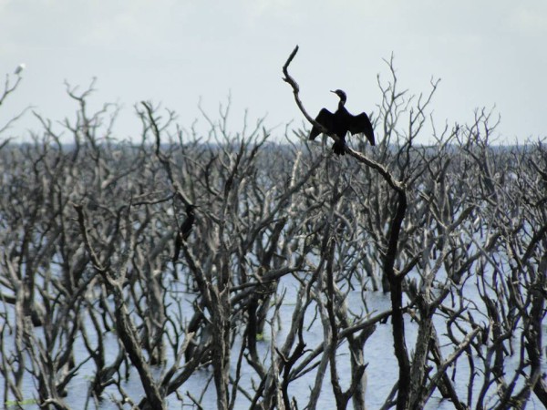 10367191_673886322684142_5732634484180308952_n