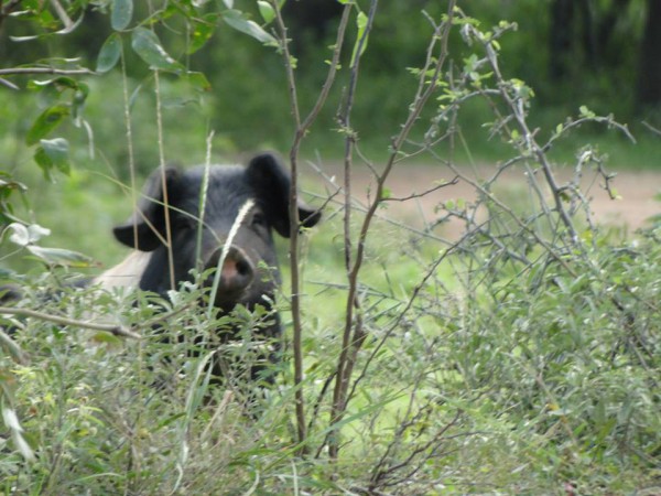 10369904_673885629350878_5331874196845553720_n