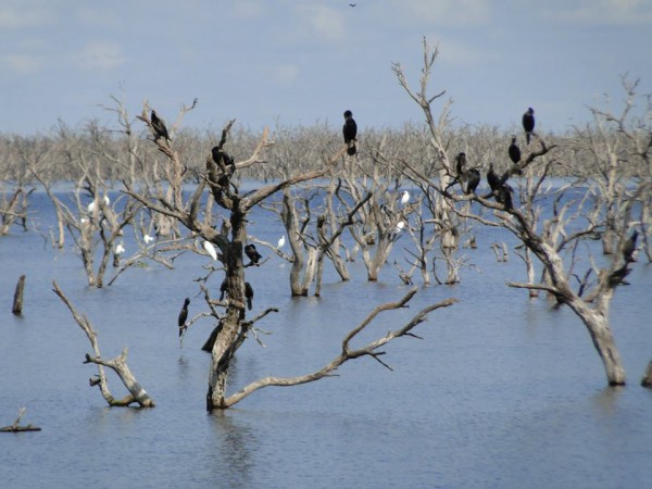 10401492_673885746017533_6385078313675350765_n